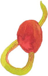 Cours artiste Auvergne